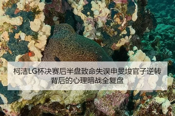 柯洁LG杯决赛后半盘致命失误申旻埈官子逆转背后的心理暗战全复盘